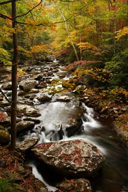 Little River, Great Smoky Mountains