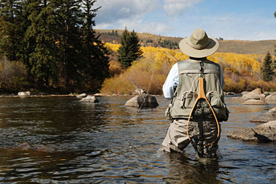 Downstream Drift for Trout