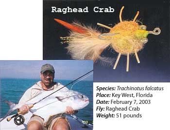 Raghead Crab Fly