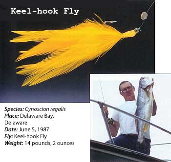 Keel-Hook Fly