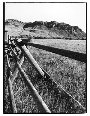 Beaverhead Fence