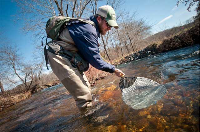 Making The Connection - Fly Fishing, Gink and Gasoline