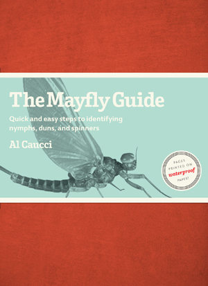 Fly Fishing The Mayfly Guide
