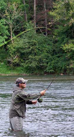 Review: Orvis Access 6-Weight Switch Rod