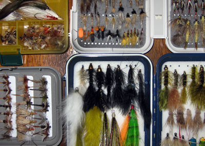 How Many Flies and Fly Boxes?