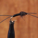 How to Tie a Little Black Stonefly Nymph