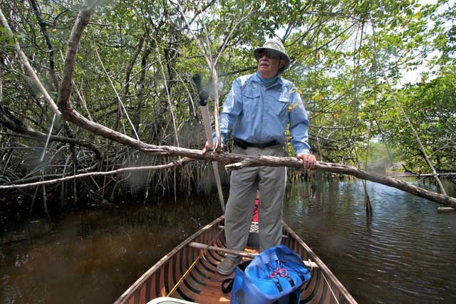 Chico Fernandez canoeing the mangroves