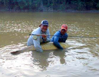 http://midcurrent.com/wp-content/uploads/2015/08/Billy-Pate-Tarpon-Fly-Reel-record.jpg