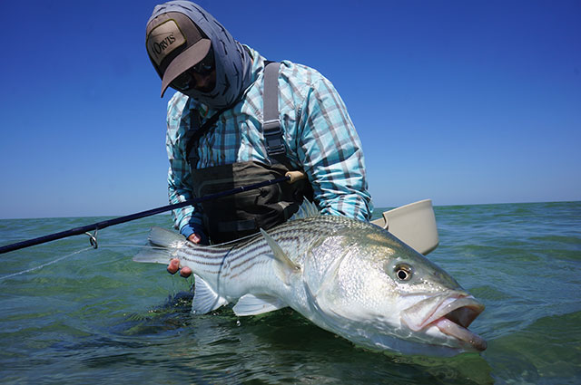 Interview/Review: Shawn Combs and the Orvis Helios 2 Fly Rod