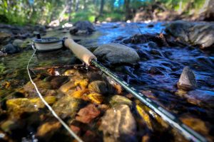 asquith-590-4-fly-rod-lifestyle-photo