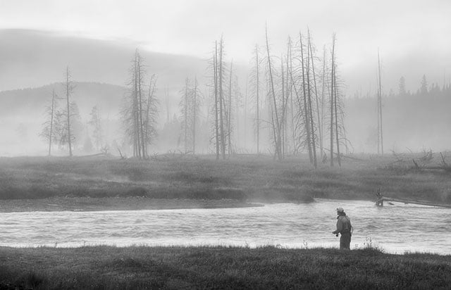 Fly fishing in Yellowstone National Park Madison River