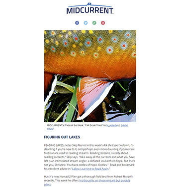 Midcurrent Fly Fishing Newsletter