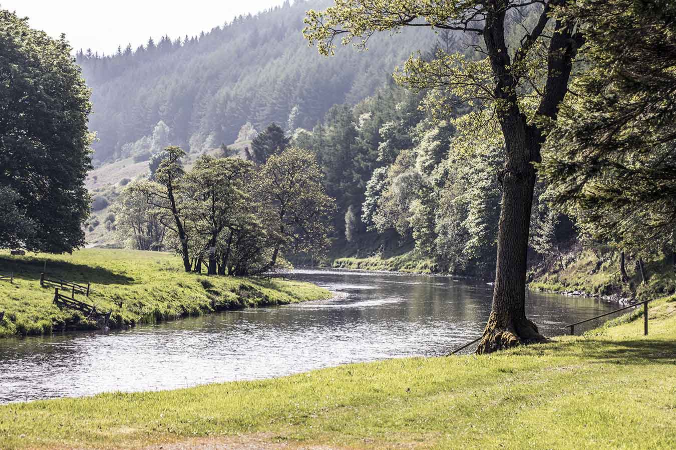 Fly Fishing in Scotland