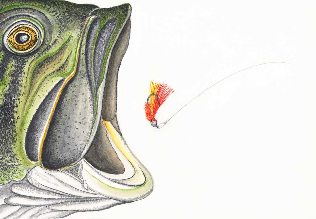 Smaller and Quieter Can Be Better, Part III: Largemouth Bass