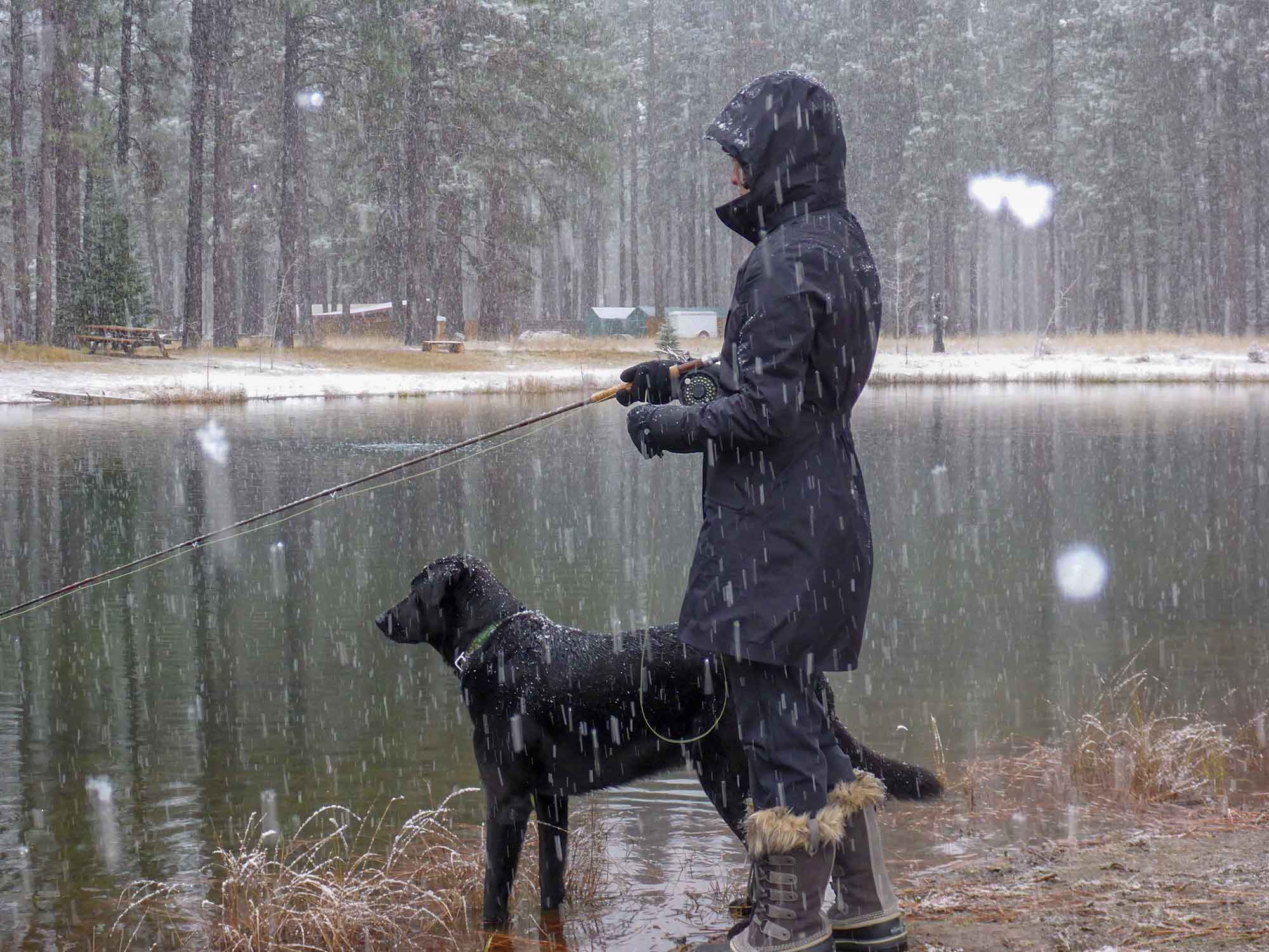 Fly Fishing Dogs