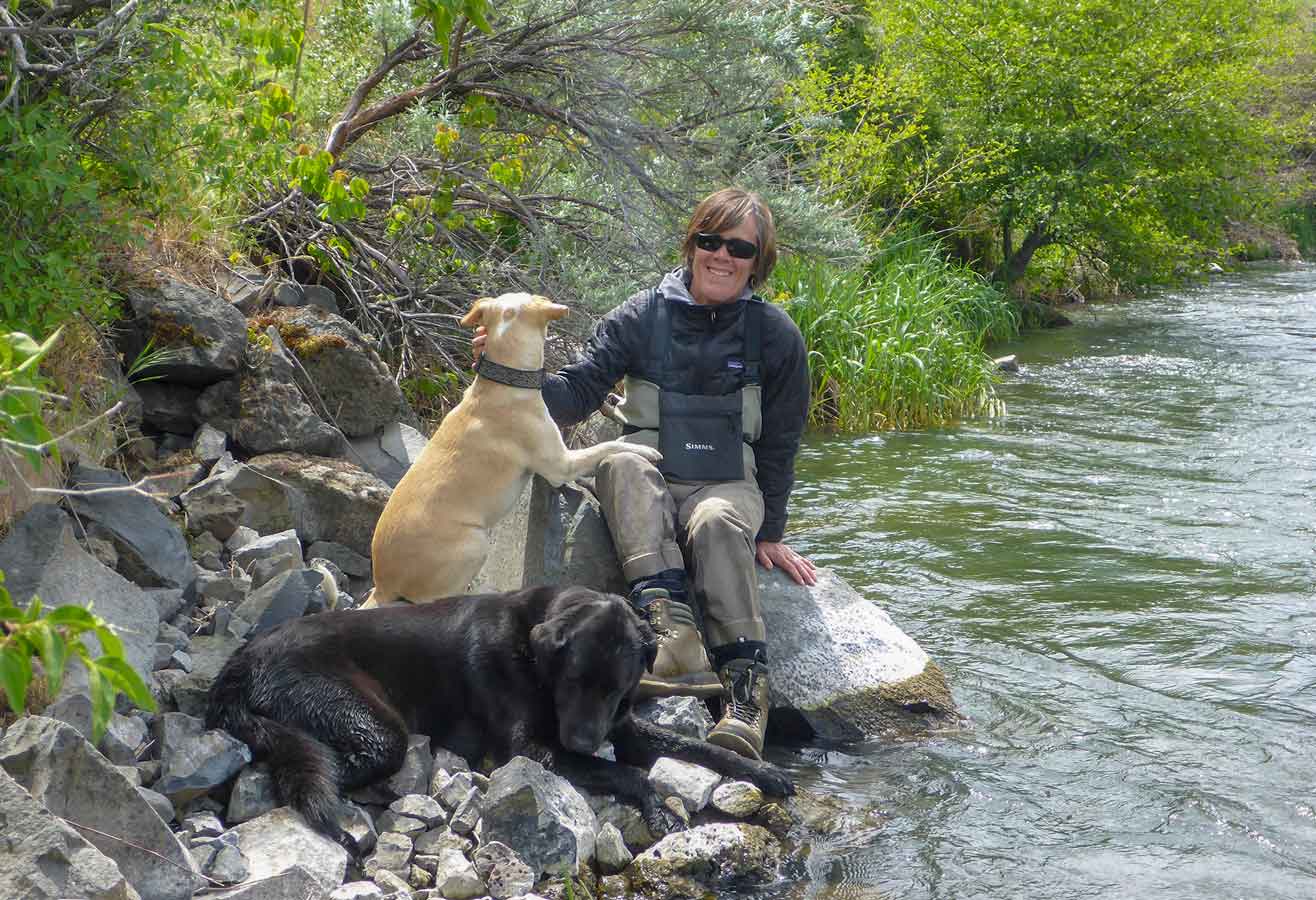 Fly Fishing with Dogs