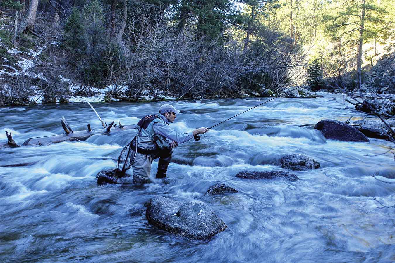Fly Fishing Trout Vision