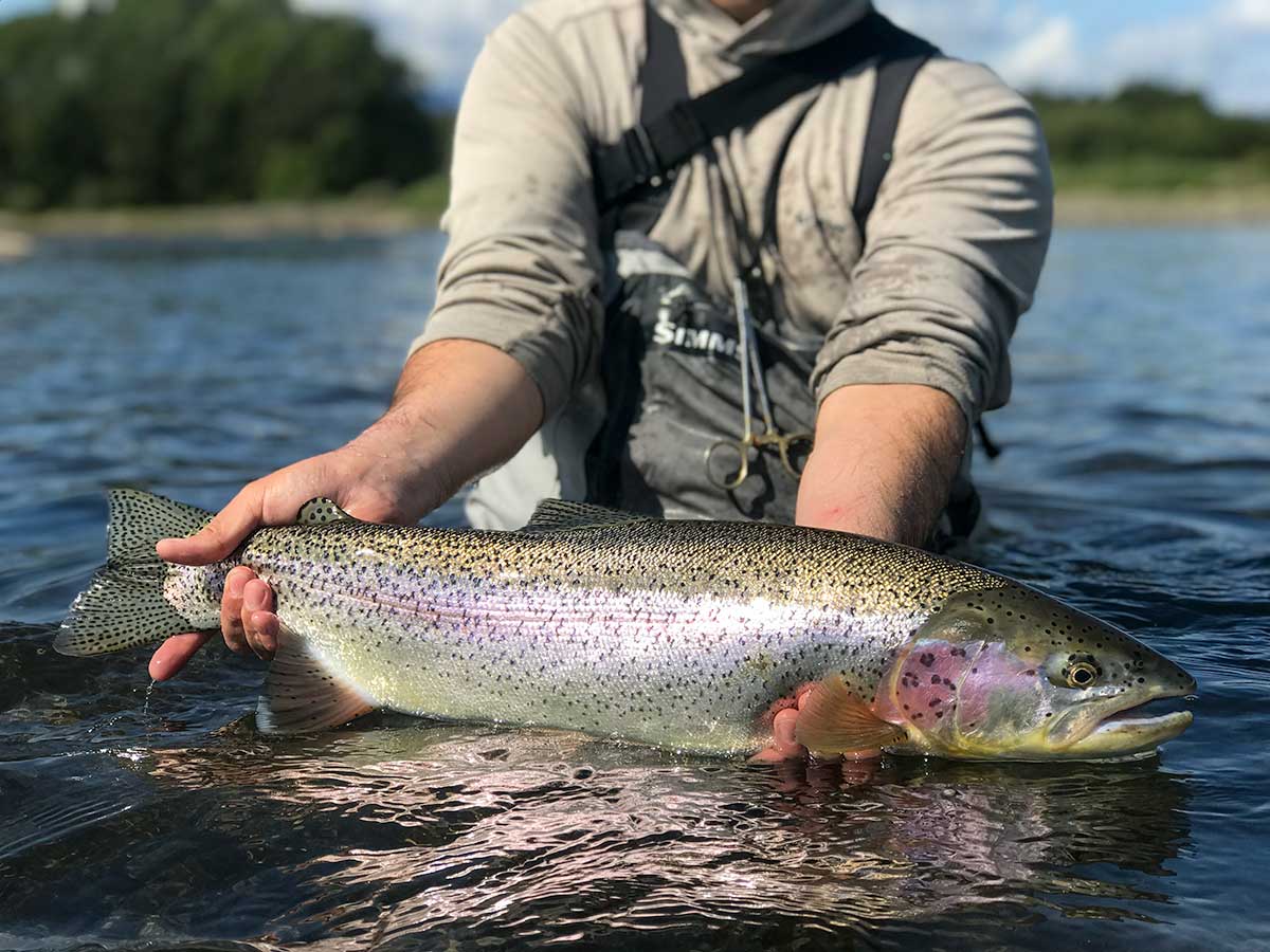 Fly Fishing in Russia