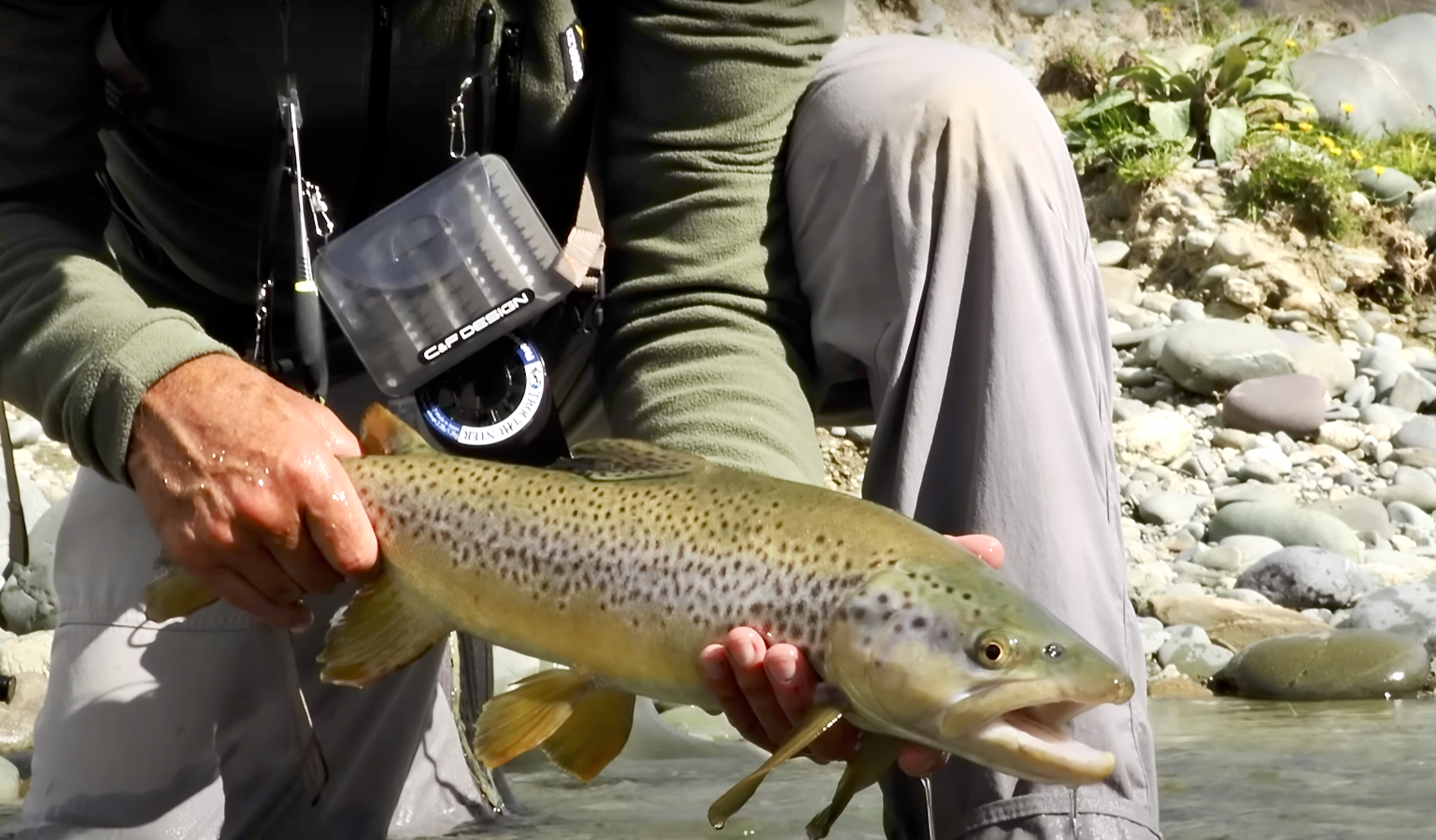 Sight Fishing For Hard To Catch Trout Midcurrent