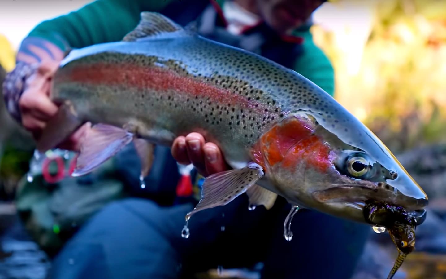 Backcountry New Zealand Fly Fishing MidCurrent