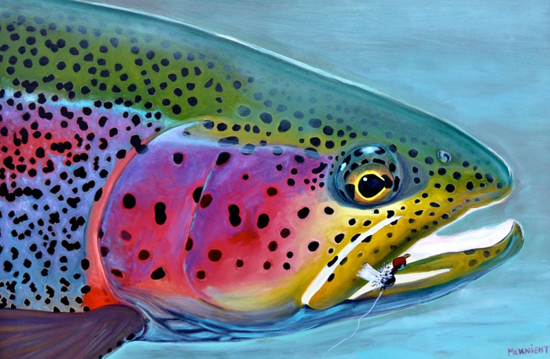  Trout Painting Pastel Wall Art, Fly Fishing Decor