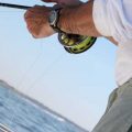 Fly Fishing Gear Tips