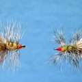 Are Discount Flies a Good Deal?