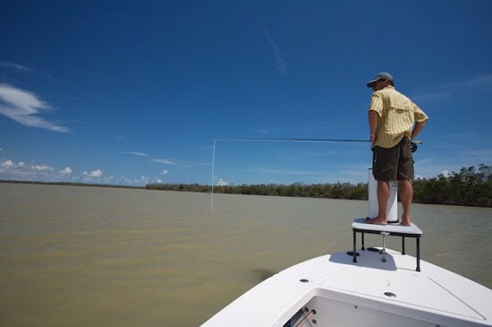 Fly Fishing for Bonefish