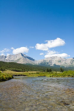 Trout Feeding Lanes