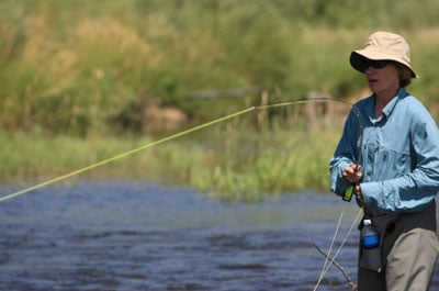 Playing Fish