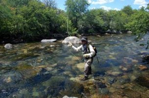 Fly Fishing Jazz: The Feeding Rhythm