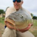 Can Spawning Carp Be Caught?