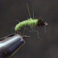 How to Tie a Simple Caddis Larva
