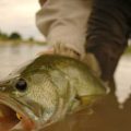 Llano River, Texas Hill Country: “Fifty More Places To Fly Fish Before You Die”