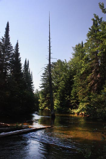 Upper Tahquamenon