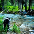 Fly Fishing Jazz: You Can Always Do Better