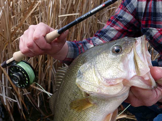 Orvis Helios 2 Fly Rod