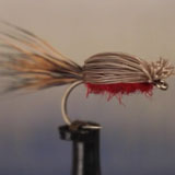 How to Tie a Devil Bug | MidCurrent