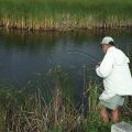 Alligator Alley and Tamiami Trail