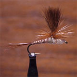 FLY TYING TROUT FLIES - PRO STAFF ON THE BENCH: DEB'S PARTRIDGE & PURPLE  SPIDER WITH DEB PASKALL 