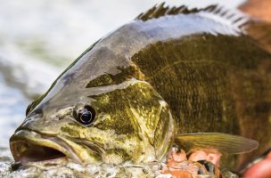 Interview: Lefty Kreh on a Lifetime of Smallmouth Fishing