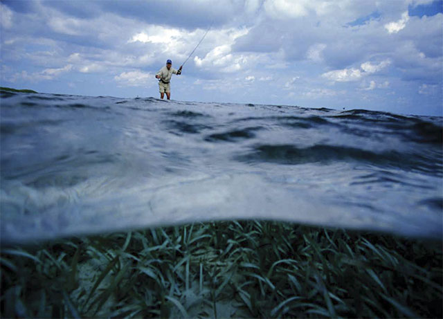 Fly Fishing Saltwater Wading