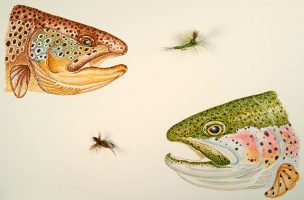 Flies for the Trouts