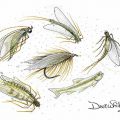 Trout Flies