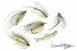 Trout Flies