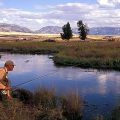 Montana Fly Fishing Guides | South Central Montana