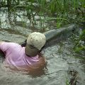 Giant Jungle Tarpon of Costa Rica