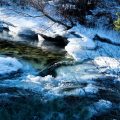 Photo Essay: Yellowstone Region Rivers in January