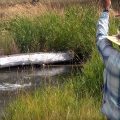 Fly Fishing Film: Spring Creek