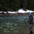 Fly Fishing Techniques - Late Winter/Pre-Runoff Nymphing & Streamer Fishing